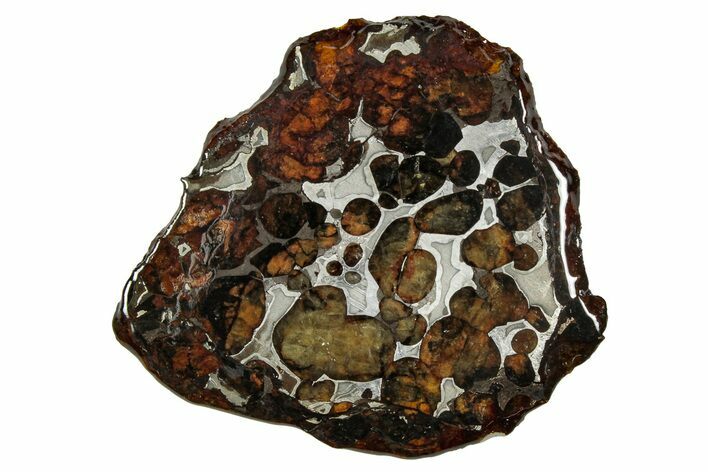 Sericho Pallasite Meteorite ( g) Slice - Kenya #335779